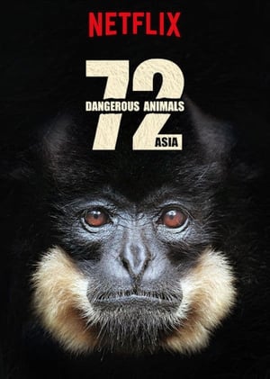 72 animaux dangereux en Asie: Saison 1