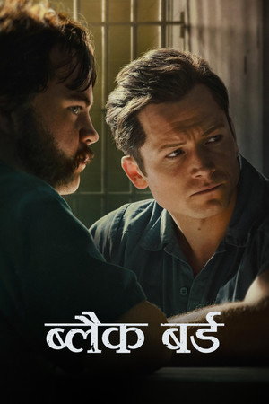 ब्लैक बर्ड