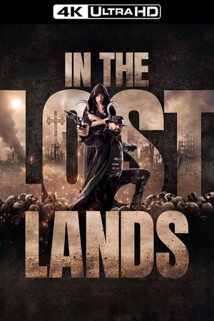 poster In the Lost Lands