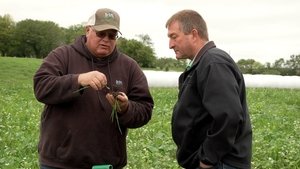 NHK WORLD PRIME: 6×8