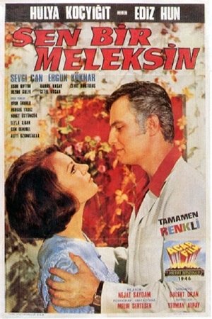 Sen Bir Meleksin poster