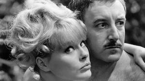 Karanlıkta Bir Çığlık (1964) izle