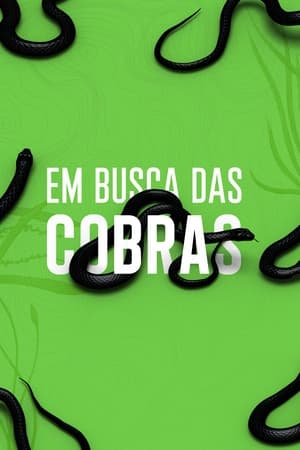 Image Em Busca das Cobras