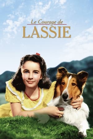 Poster Le Courage de Lassie 1946