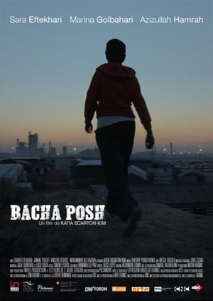 Poster Bacha Posh (2018)
