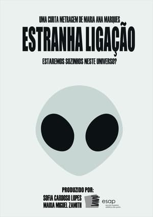 Poster Estranha Ligação 2015