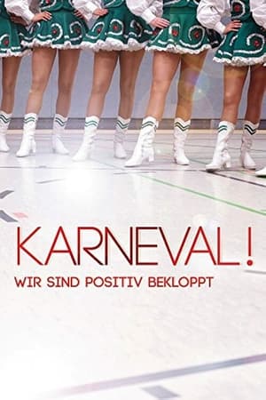 Poster Karneval! - Wir sind positiv bekloppt 2013