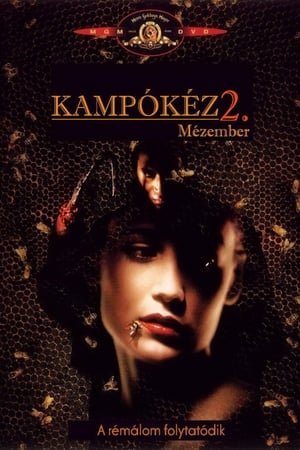 Image Kampókéz 2.