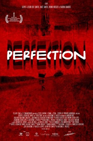 Poster di Perfection