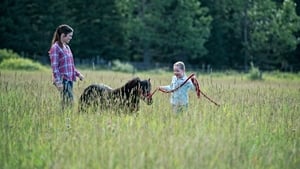 Heartland – Paradies für Pferde: 10×9