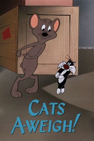Poster Silvestro cacciatore di topi 1953