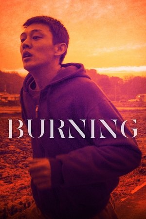 Burning poster