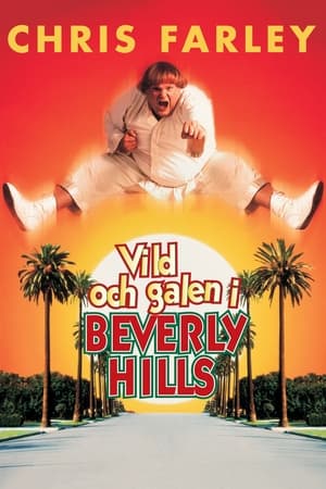 Poster Vild och galen i Beverly Hills 1997