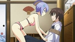 Majikoi-Oh! Samurai Girls: 1×3