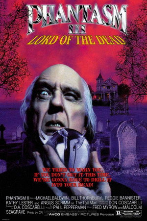 Постер фильма «Фантазм 3 (1993)» — (14 из 35)
