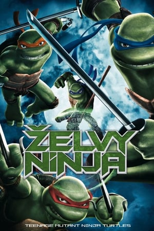 Poster Želvy Ninja 2007