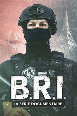 Image B.R.I. : La série documentaire