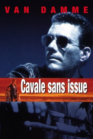 Image Cavale sans issue