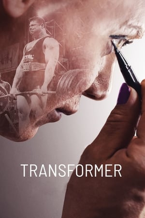 Poster Transformer 2018
