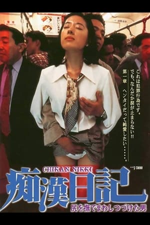 Poster 痴汉日记 1995