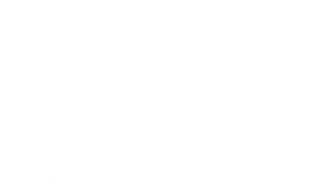 Nothing to Declare — Logos 1