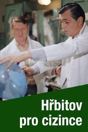 Hřbitov pro cizince poster