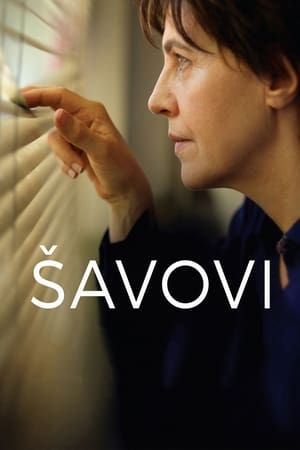 Poster Šavovi 2019