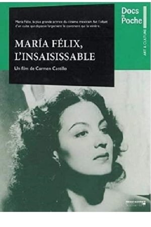 Poster Inasible María Félix 2001