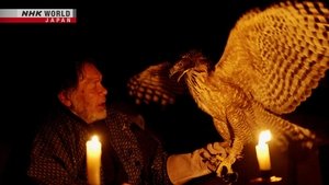 NHK WORLD PRIME: 7×24