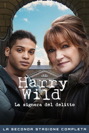 Harry Wild - La signora del delitto: Stagione 2