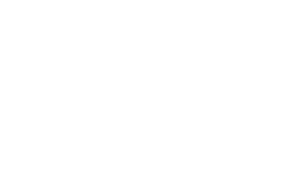 An Almost Ordinary Summer