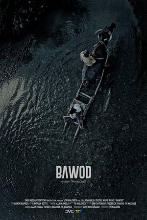 Poster Bawod 2017