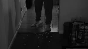 series gato: Ver película The Universe Blinks 2021 gratis