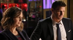 Bones 11 – 15