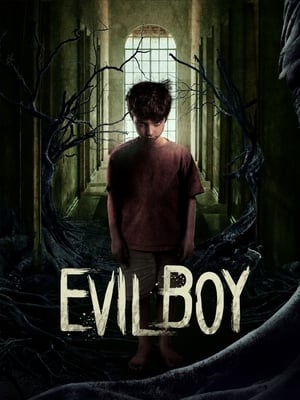 Poster Evil Boy 2019