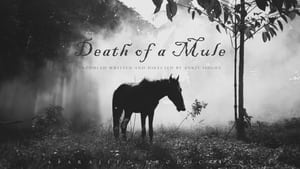 Death of a Mule