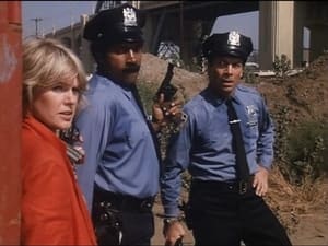 Cagney & Lacey Heat