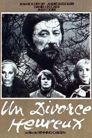 Poster Un divorce heureux 1975