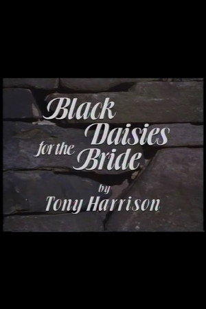 Black Daisies For The Bride 4