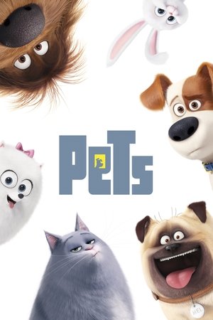 Pets 2016