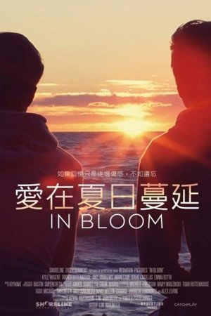 Image 萌动