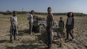 40 Acres (2025) Online Subtitrat in Romana