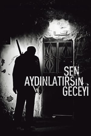 Poster Sen Aydınlatırsın Geceyi 2013