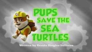 PAW Patrol Pups Save the Sea Turtles