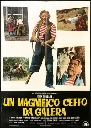 Poster Un magnifico ceffo da galera 1973