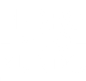 Pedro the Wanderer — Logos 1