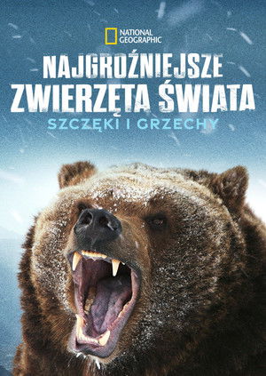 Najgroźniejsze zwierzęta świata: Szczęki i grzechy