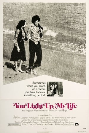 You Light Up My Life poster