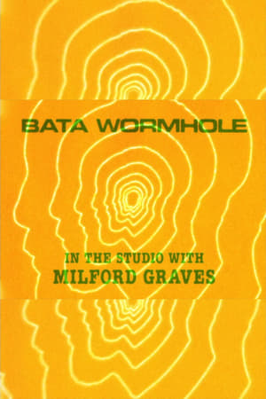 Image Bata Wormhole