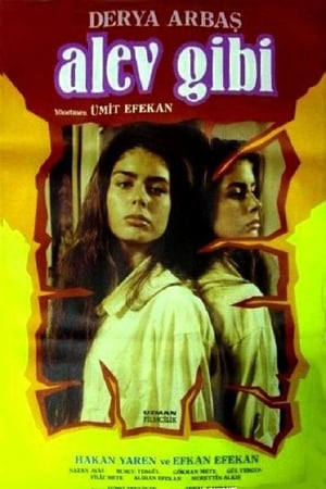 Poster Alev Gibi 1986
